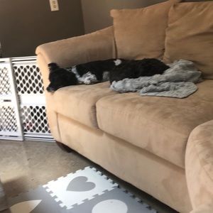 Meet your Posher, Sheila